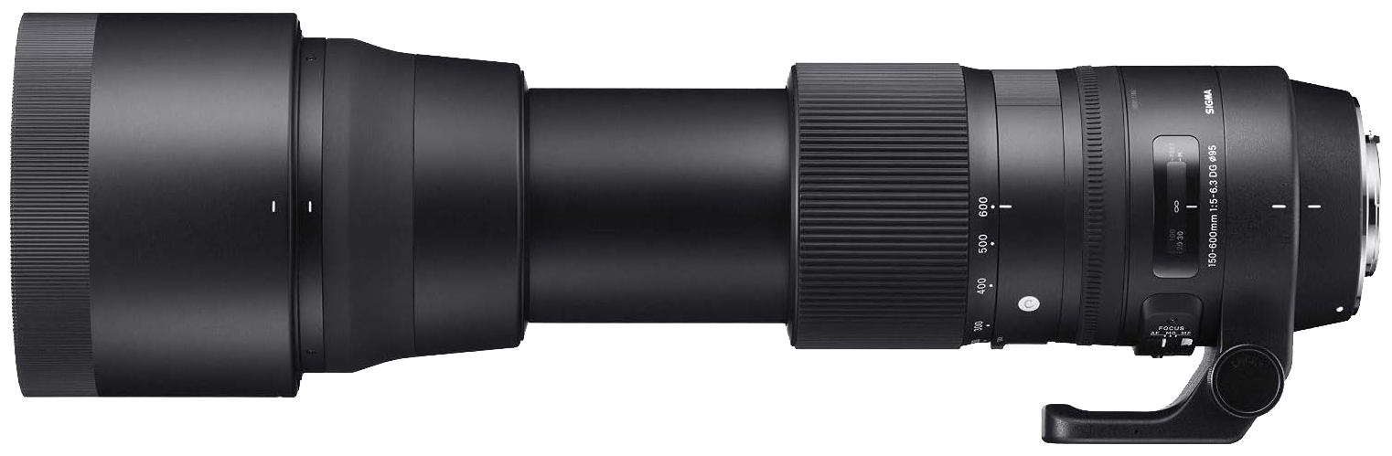 Sigma 150-600mm F5-6.3 DG OS HSM | Contemporary